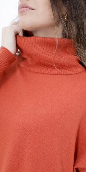 Alternative view of Poleron  Julia