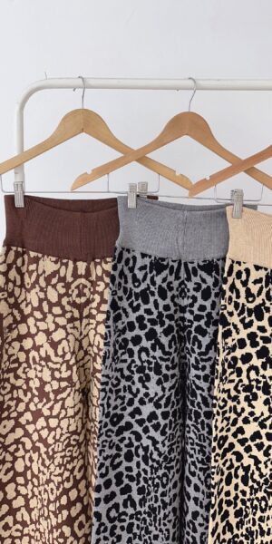 Alternative view of Palazzo Leopardo